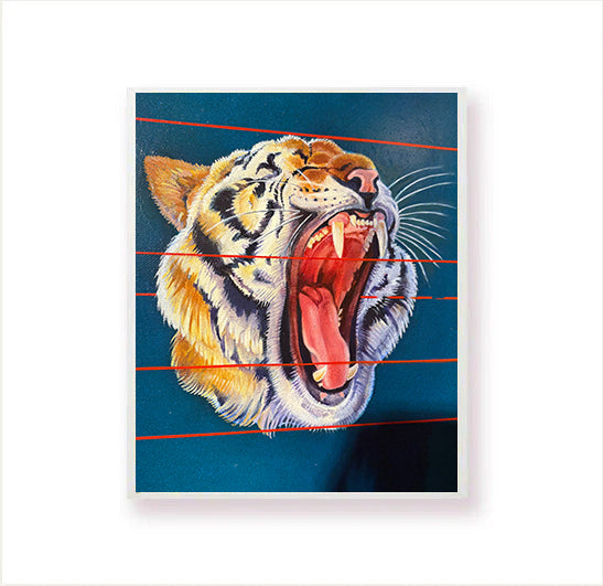 Extinction - Tiger